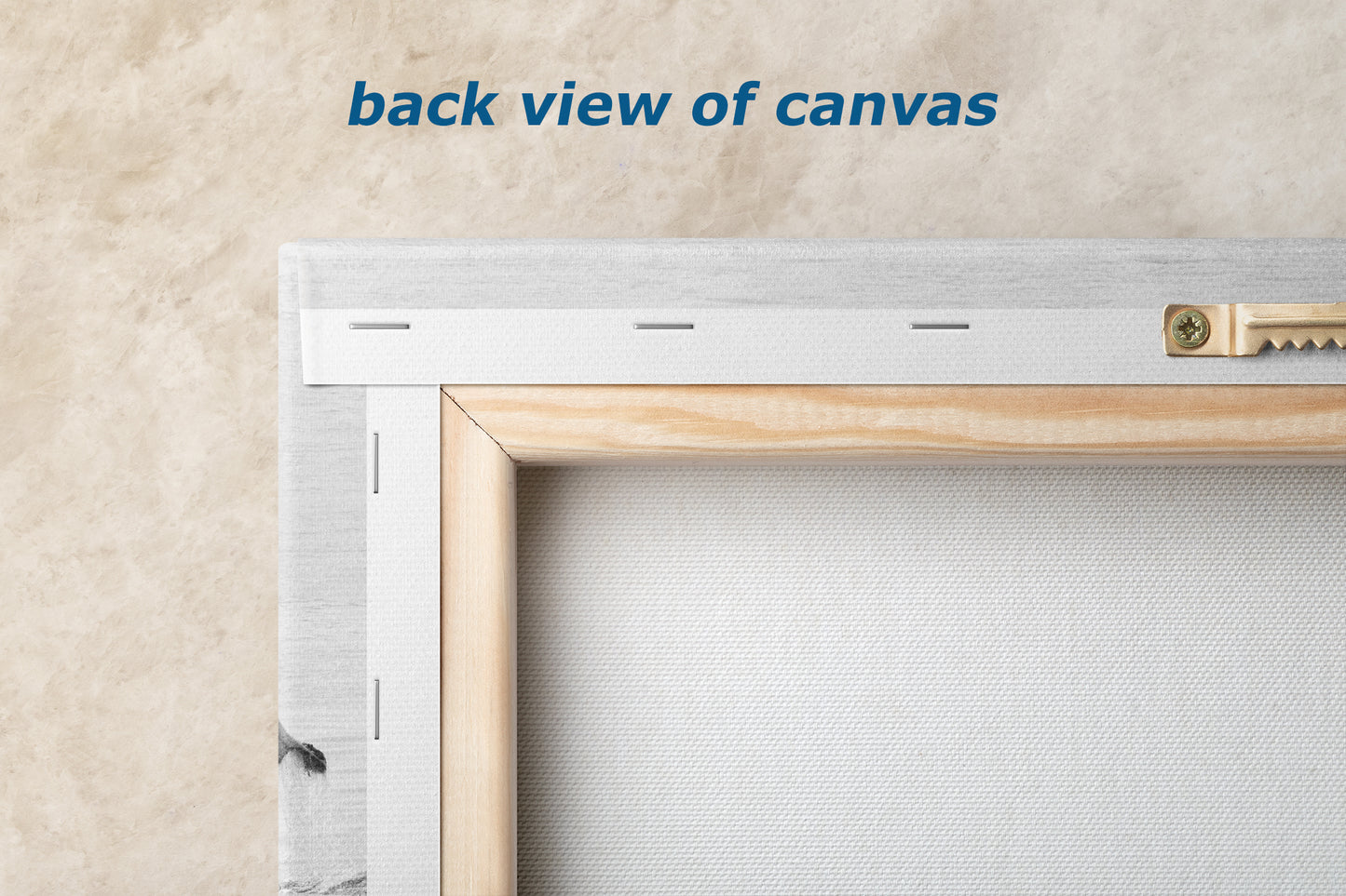 Humpback Whale Marine Mammal Wildlife Photography, Black and White, Monterey Bay Ocean Scene Art Print for Nature Lovers and Marine Conservation Decor