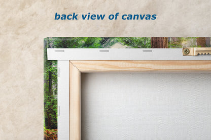 Redwood Trees Forest Picture Sunrise Nature Photo, Forest Bathing House Decor, Relaxing Wall Art for Meditation, Home and Office