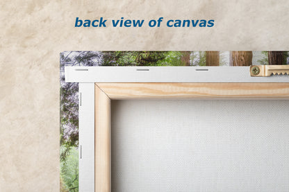 Redwood Trees Forest Picture Nature Photo, Forest Bathing in Muir Woods Wall Art for House Decor Gifts for Tree & Nature Lovers