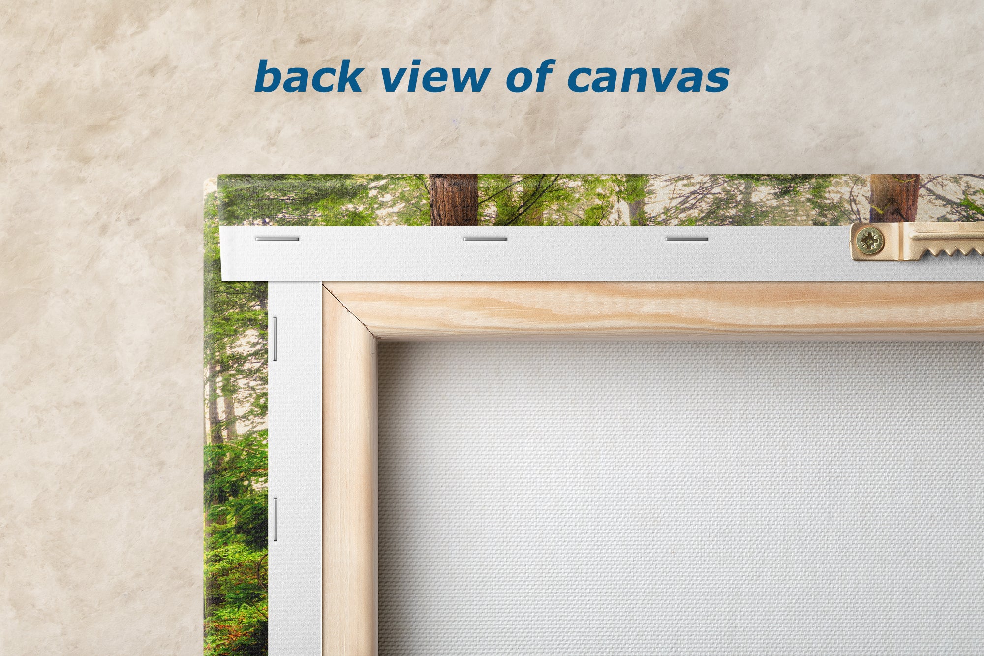 Redwood Trees Forest Picture Nature Photo, Forest Bathing House Decor