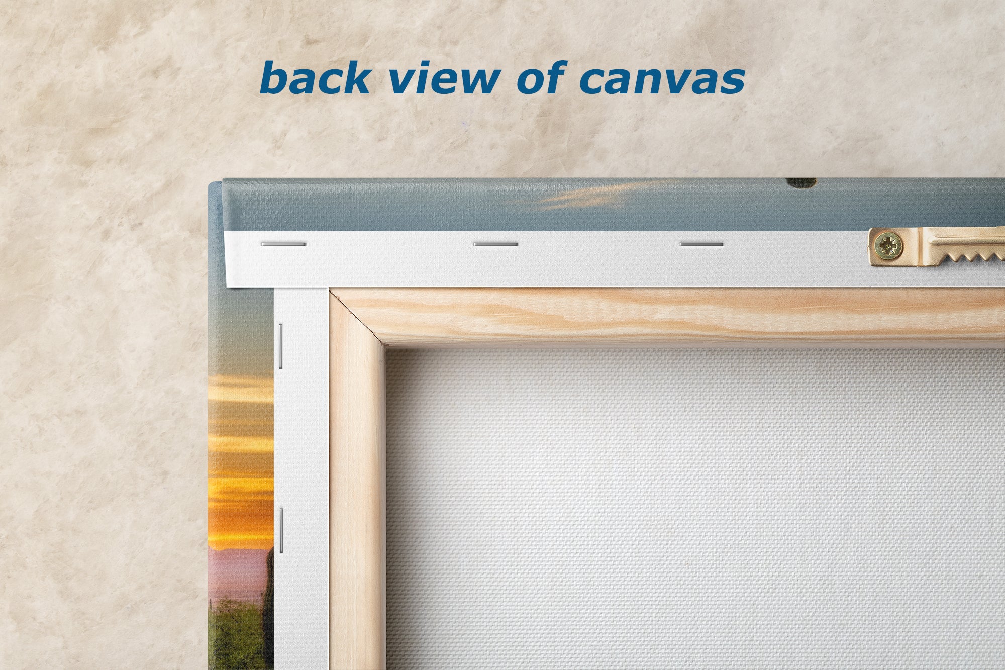 Saguaro National Park Arizona Desert Picture Nature Photo, Bohemian Style Relaxation Artwork, Southwestern Sonoran Desert House Decor