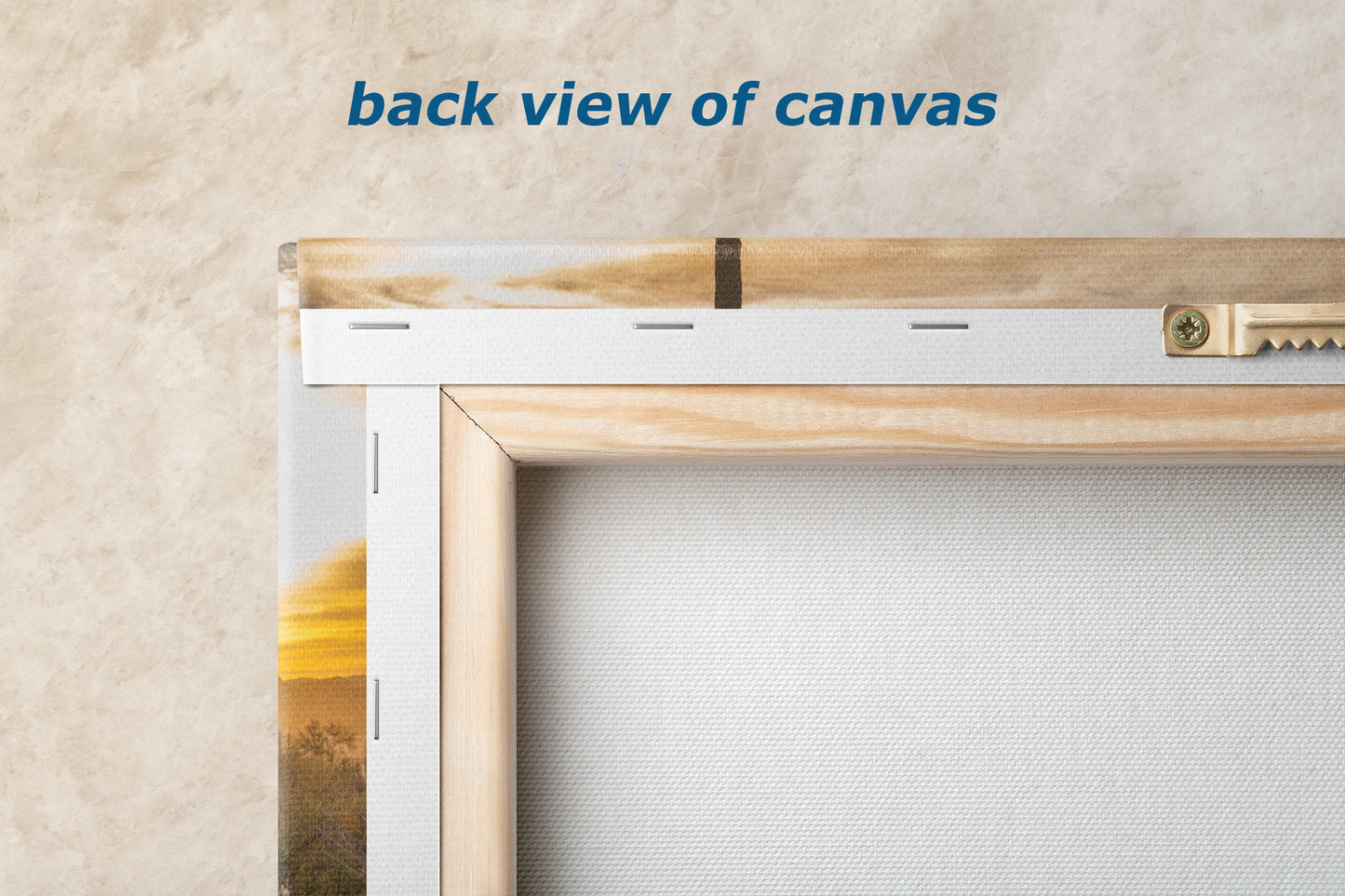 Saguaro National Park Arizona Desert Picture Sunset Nature Photo, Bohemian Style Relaxation Artwork, Southwestern Sonoran Desert House Decor