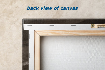 California Sea Lion Marine Mammal Wildlife Photography, Ocean Animals, Coastal House Decor, Nature Lover Gift, Marine Biology Artwork