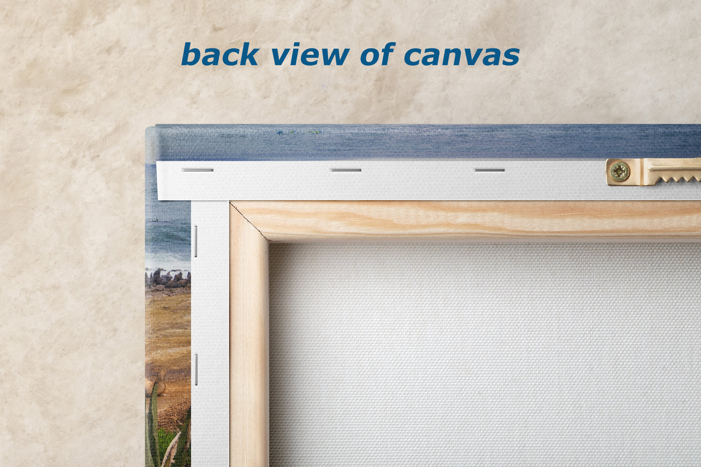 California Sea Lion Marine Mammal Wildlife Photography | Calming Nature Ocean Picture, Relaxation Artwork, La Jolla Coast, Nature Photo