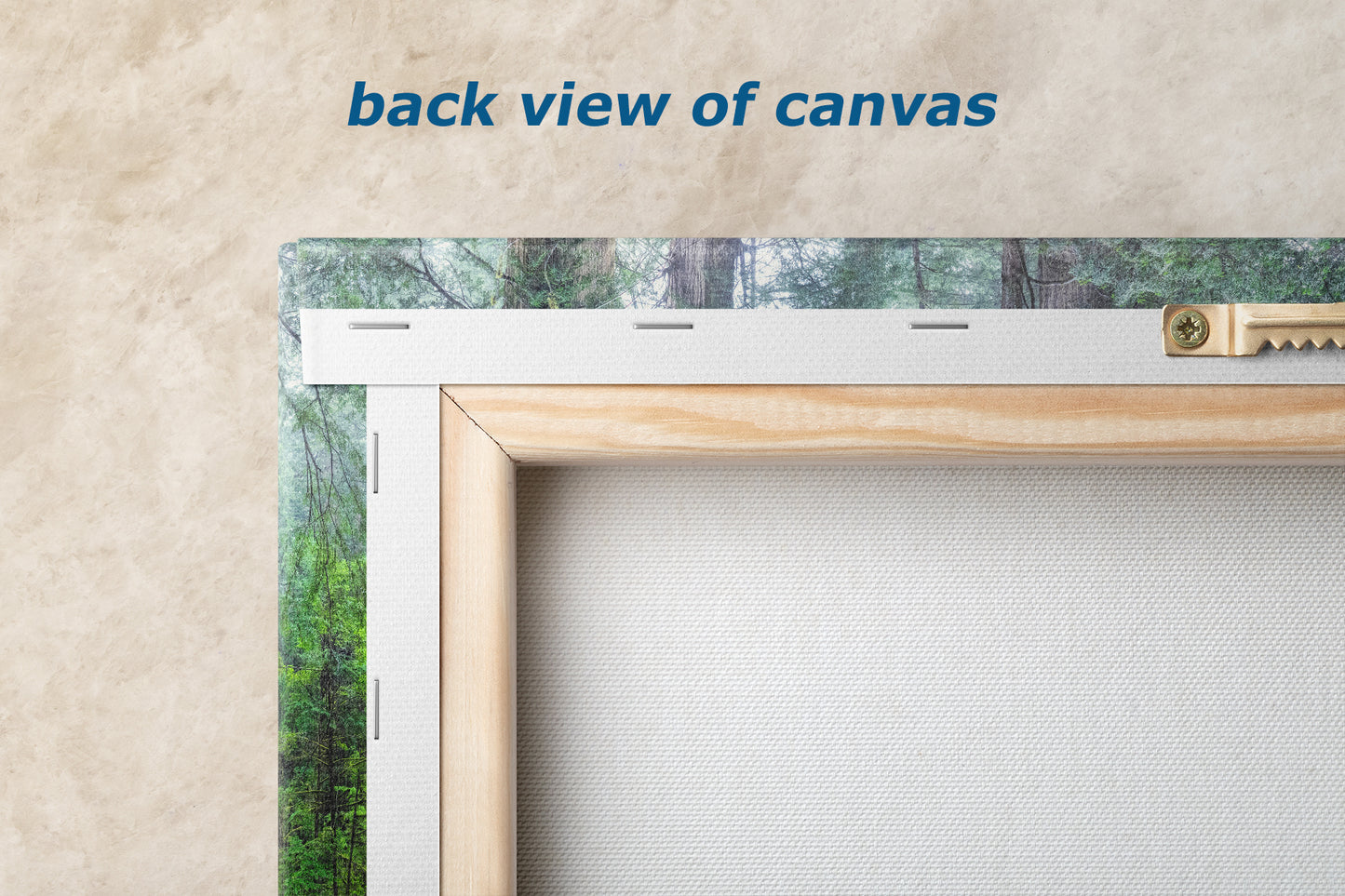 Redwood Trees Forest Picture Nature Photo, Forest Bathing in Misty California Redwoods Wall Art, for Relaxation in the Home and Office