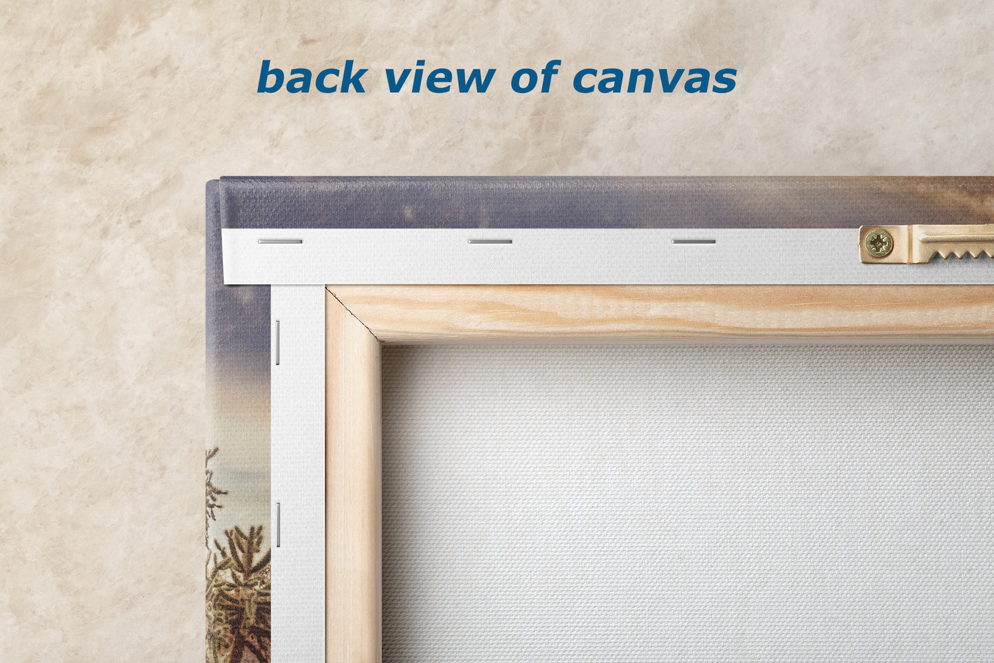 Arizona Desert Picture, Vintage Saguaro Cactus Artwork Nature Photo, Southwestern Wall Art of Superstition Mountains at Lost Dutchman State Park