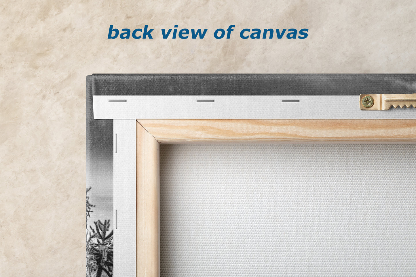 Arizona Desert Picture in Black and White, Saguaro Cactus Artwork Nature Photo, Southwestern Wall Art of Superstition Mountains at Lost Dutchman State Park