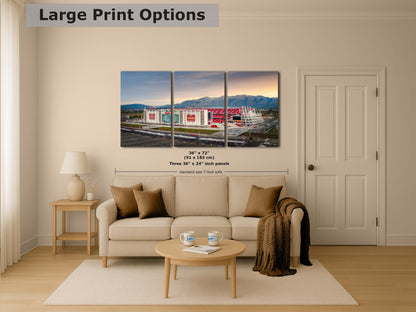 San Francisco 49ers Football Stadium Wall Art | Levi's Stadium Bay Area Decor NFL Fan Gift for Man Cave or Game Room