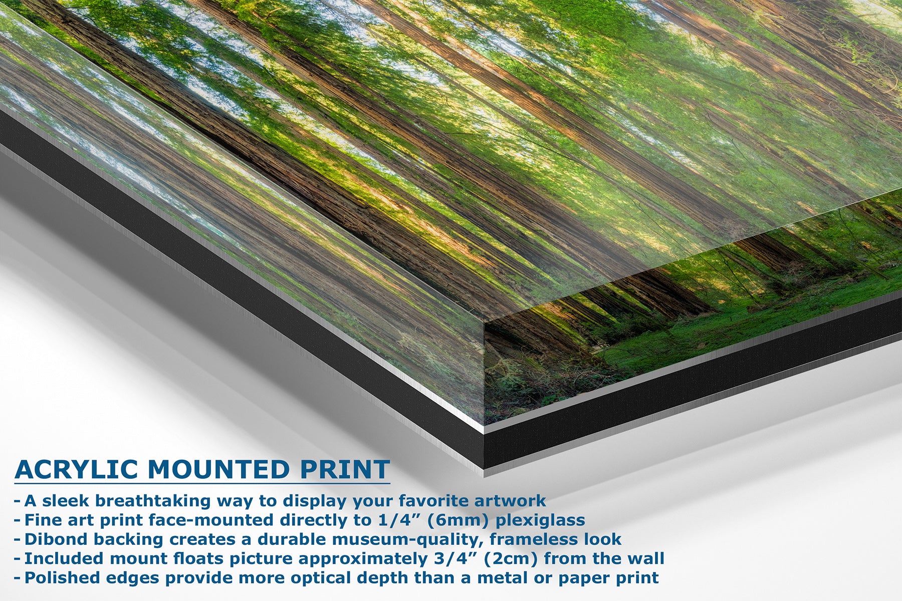 Acrylic mounted art print panel showing a forest scene with trees and green foliage, with text on the left describing the acrylic mounted print features.