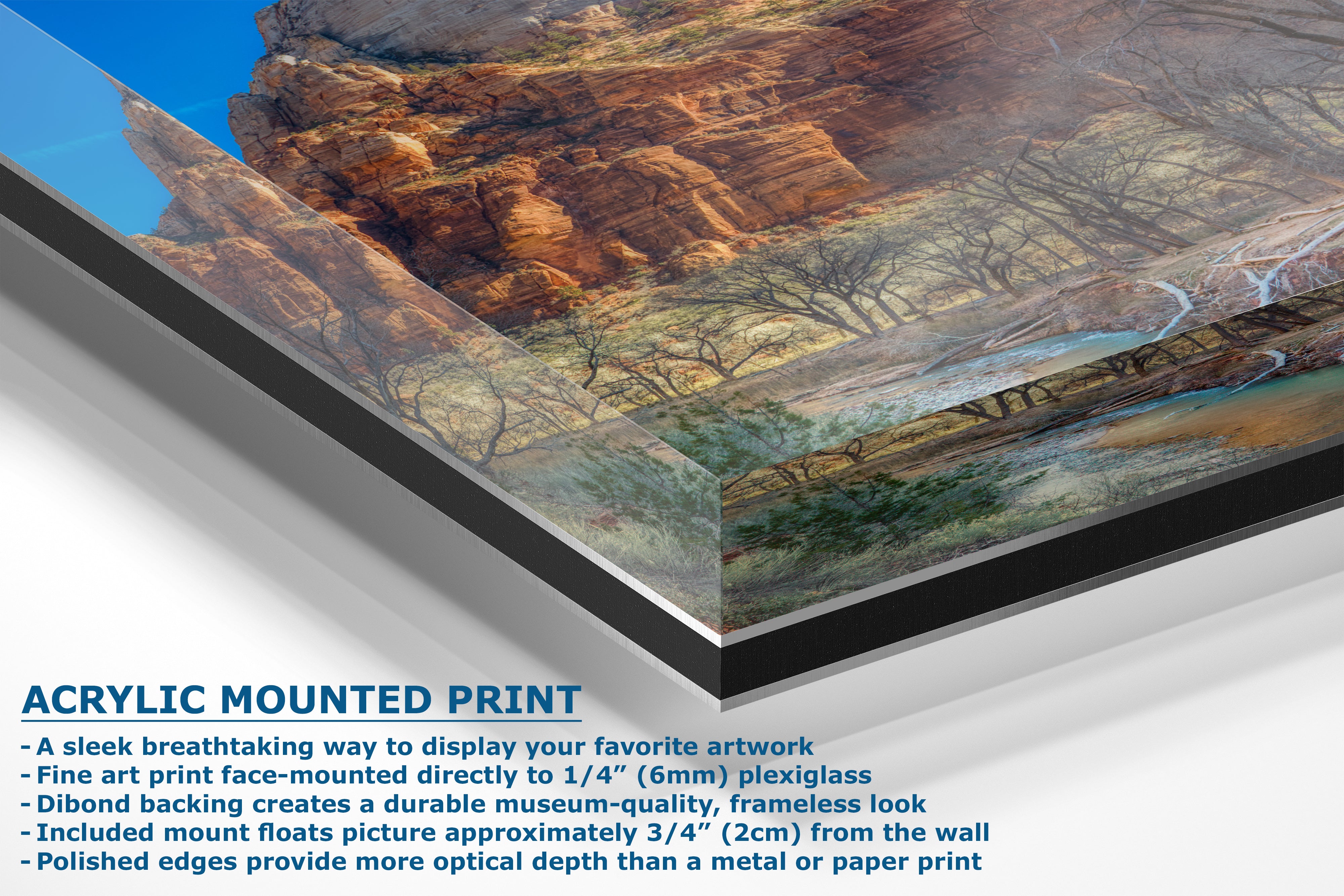 Zion National Park Southern Utah Desert Picture, Southwestern Wall Art, Relaxation Artwork Nature Photo for House Decor