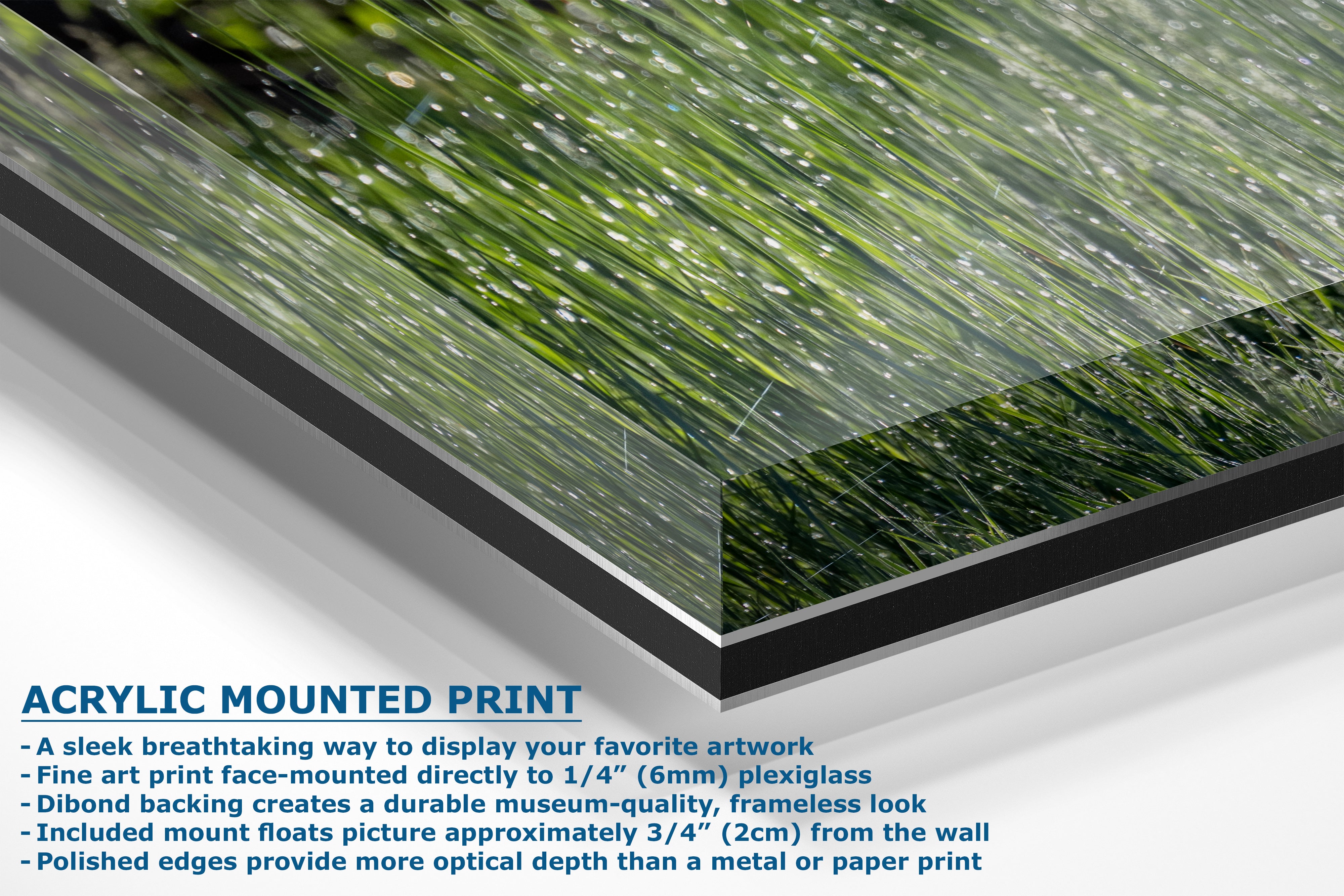 Green Grass Impressionist Art, Nature Photo Relaxation Artwork, Forest Picture Wall Decor for Bohemian Style, Office, Meditation & Dorm Room