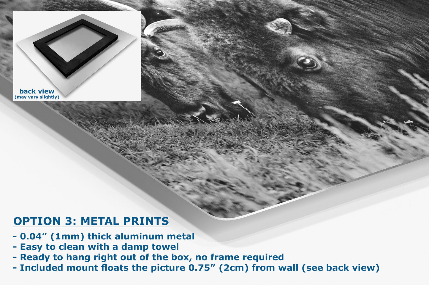 Grazing Buffalo Artwork Wildlife Photography, Black and White Bison Wall Decor, Rustic Cabin Animal Print, Nature Wall Art for Home or Office