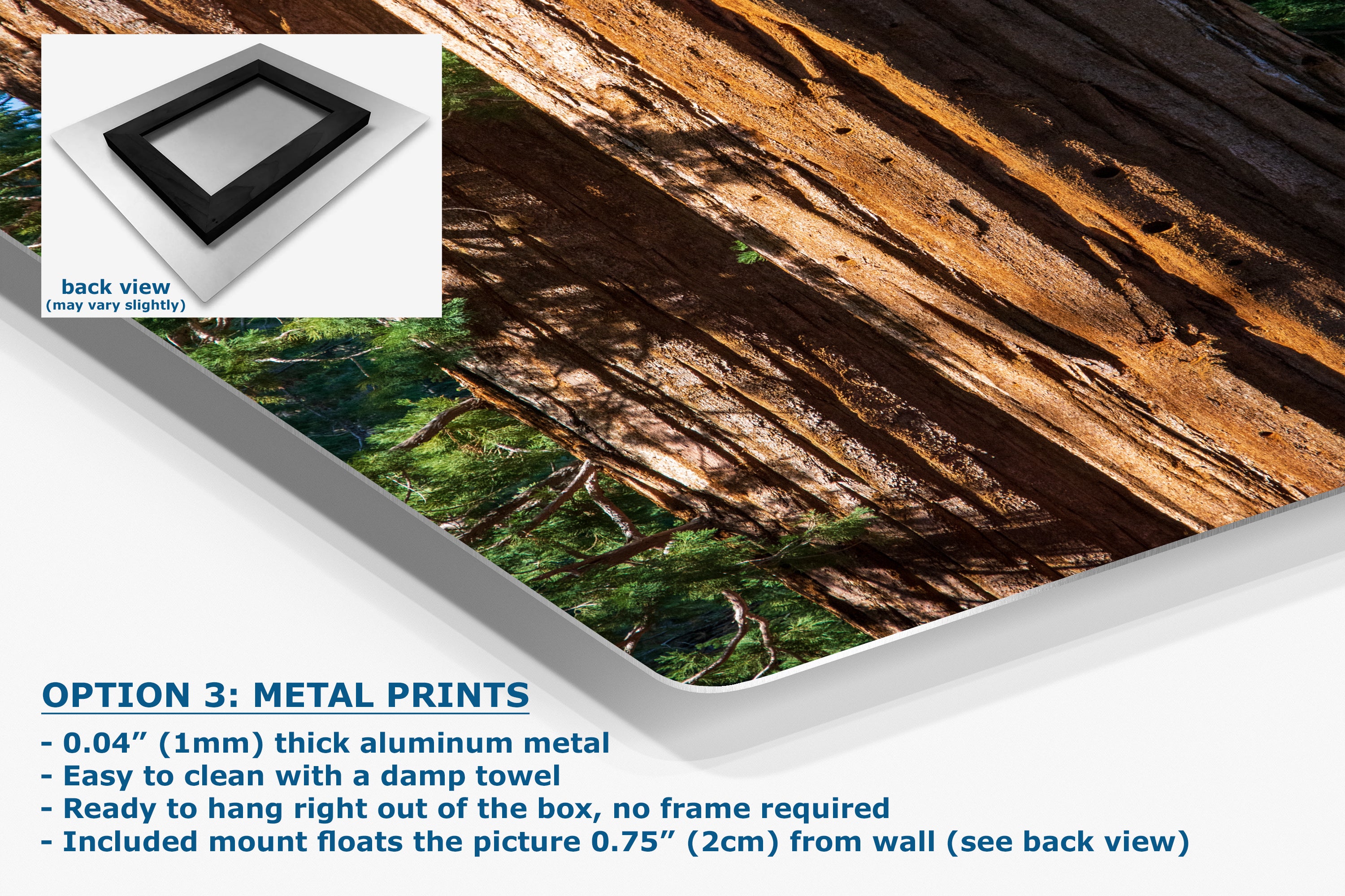 Giant Sequoia Tree Forest Picture Nature Photo, Redwood Trees Wall Art, Forest Bathing National Park Poster, Relaxation Decor