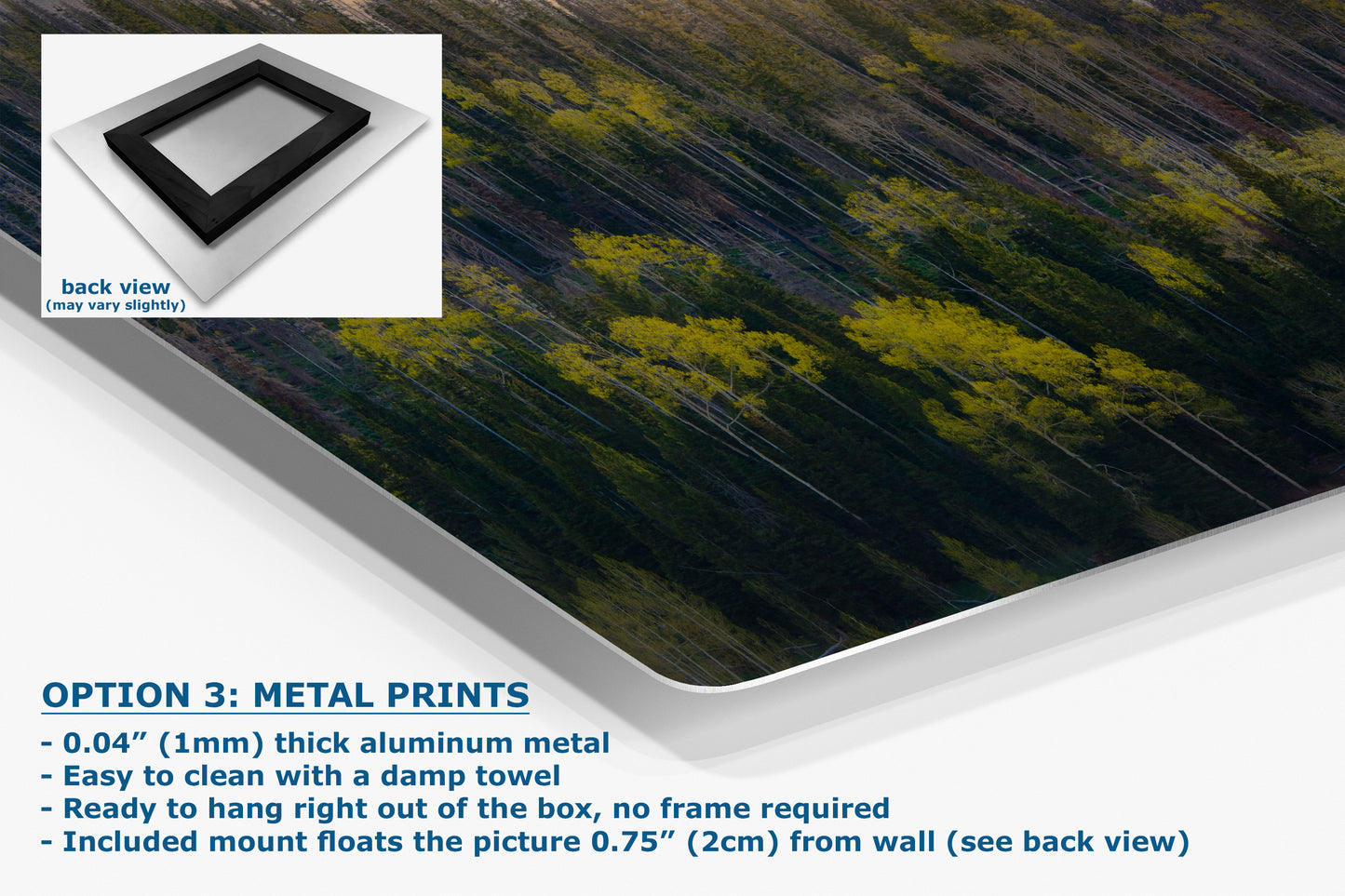 Aspen Tree Forest Picture Nature Photo, Forest Bathing Relaxation Artwork Dopamine Decor for Meditation, Bedroom, Living Room, and Office