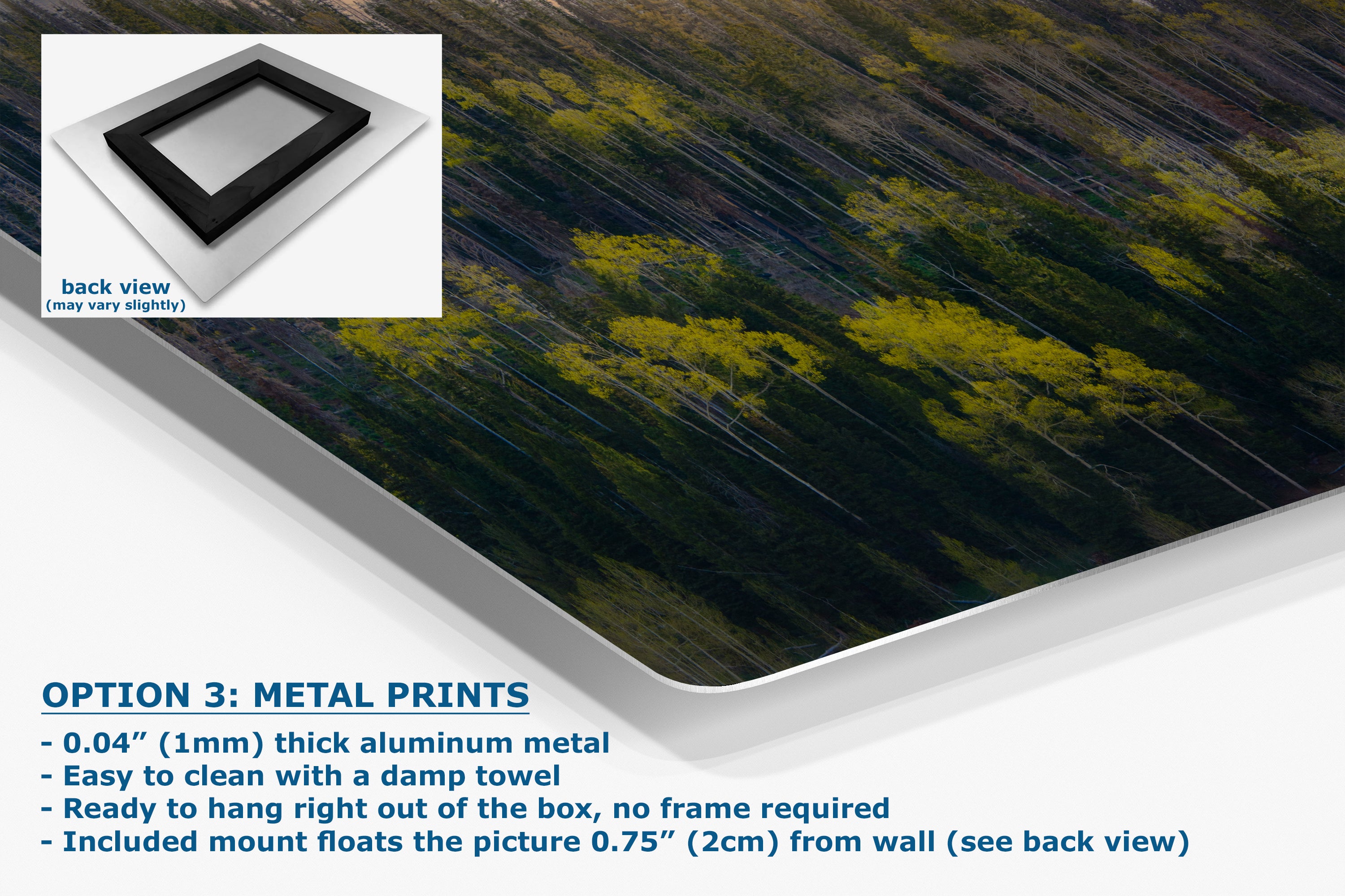 Aspen Tree Forest Picture Nature Photo, Forest Bathing Relaxation Artwork Dopamine Decor for Meditation, Bedroom, Living Room, and Office