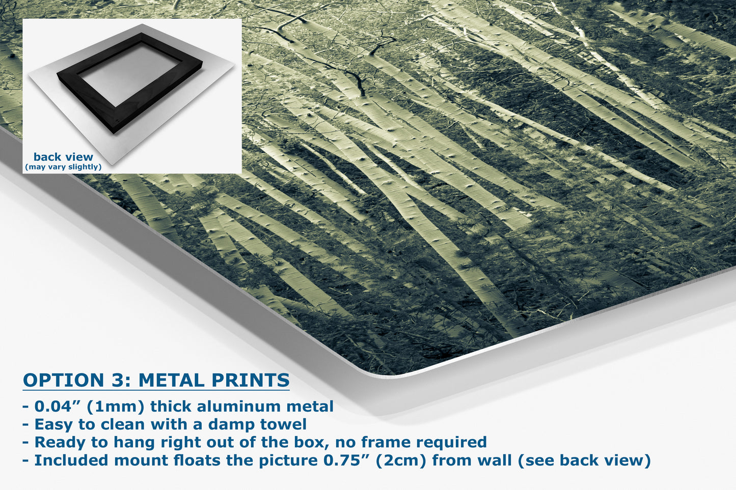 Aspen Tree Forest Picture Nature Photo, Forest Bathing Relaxation Artwork, Rustic Wall Art for Bedroom, Office, & House Decor