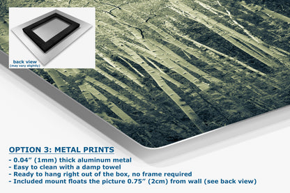 Aspen Tree Forest Picture Nature Photo, Forest Bathing Relaxation Artwork, Rustic Wall Art for Bedroom, Office, & House Decor