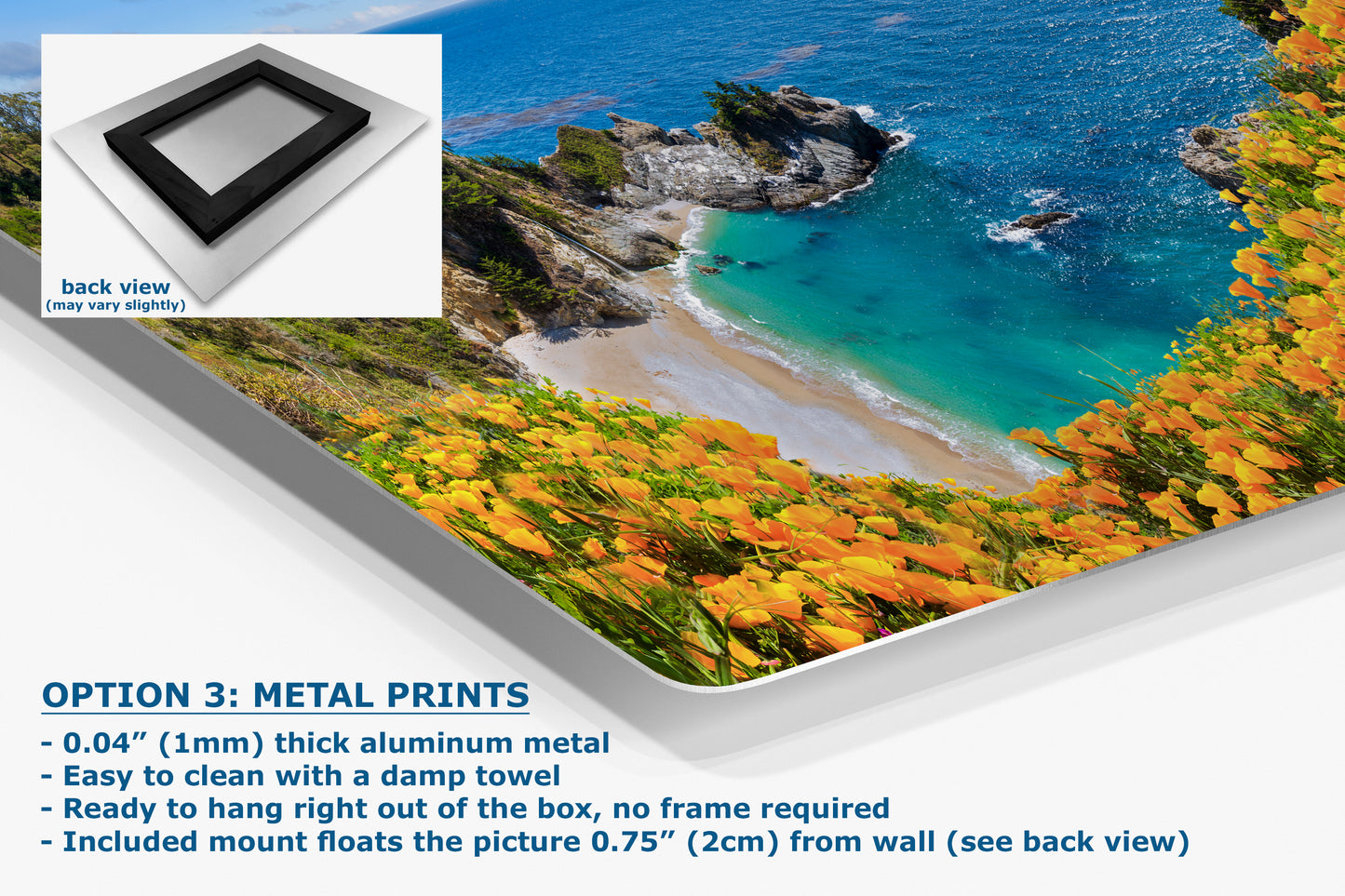 McWay Falls Wall Art Ocean Picture, Big Sur California Coastline Nature Photo