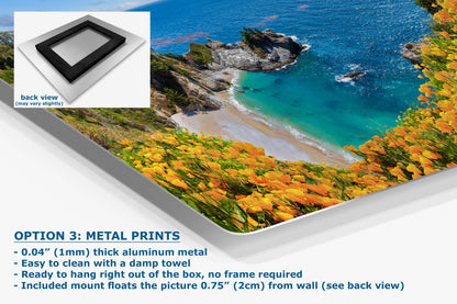 McWay Falls Wall Art Ocean Picture, Big Sur California Coastline Nature Photo