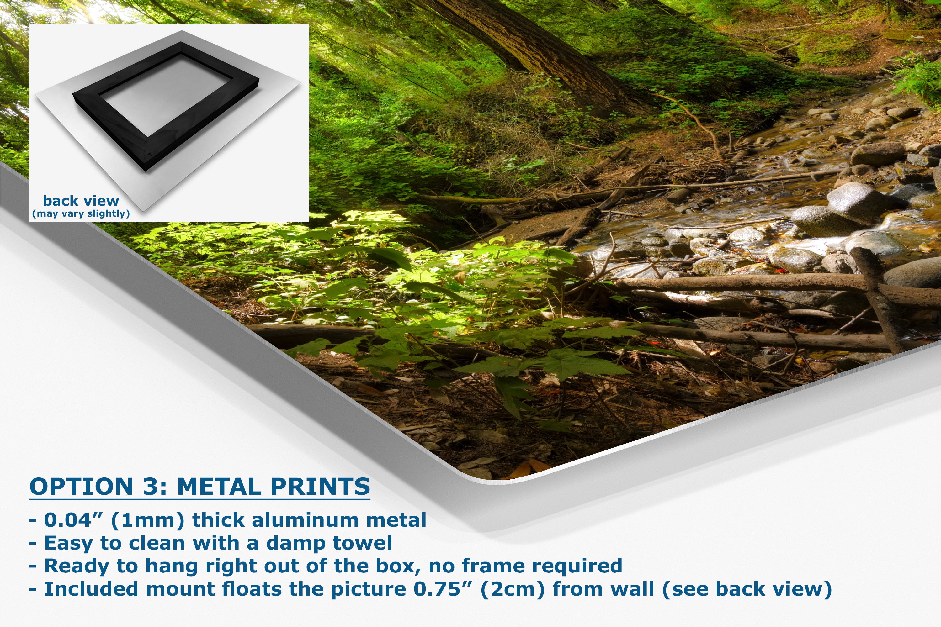 Redwood Trees Forest Picture Nature Photo, Forest Bathing in Santa Cruz California Coast Wall Art, Relaxing Artwork for House Decor & Office