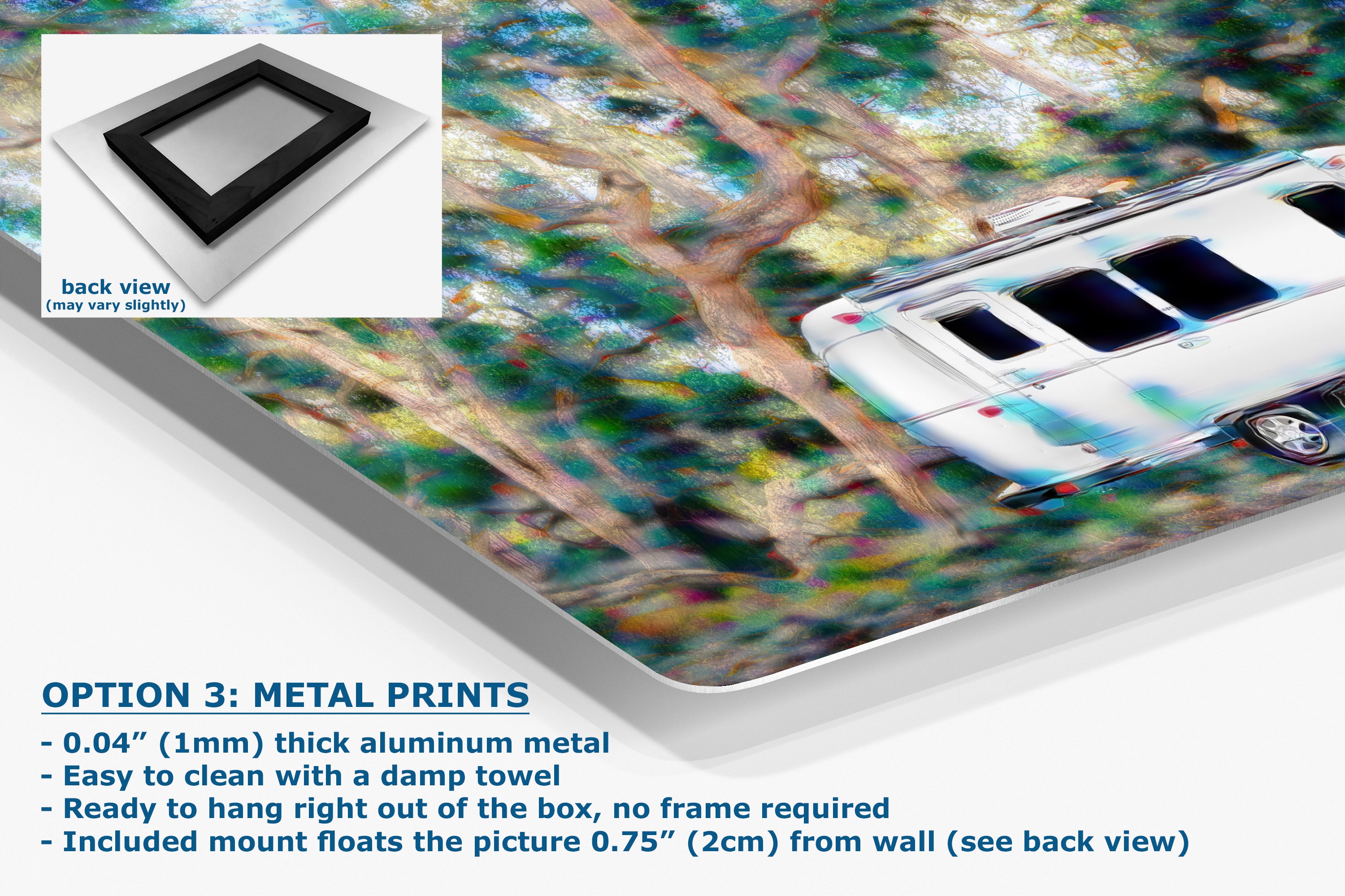 Airstream with Coast Live Oak Camping Decor