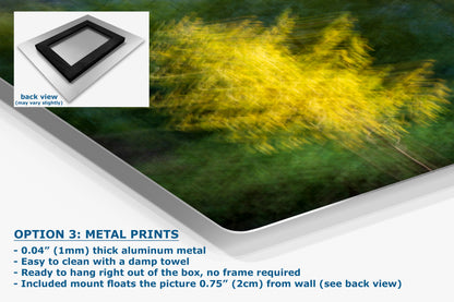 Impressionist Art Forest Picture Abstract Nature Photo, Relaxation Artwork, Forest Bathing Wall Decor, Meditation, Bohemian Style Canvas Print