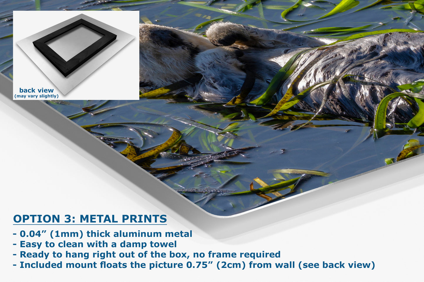 Sea Otter Picture Marine Mammal Wildlife Photography, Relaxing Nature Art Print, Ocean Scene, Dorm Room Decor, Animal Photography