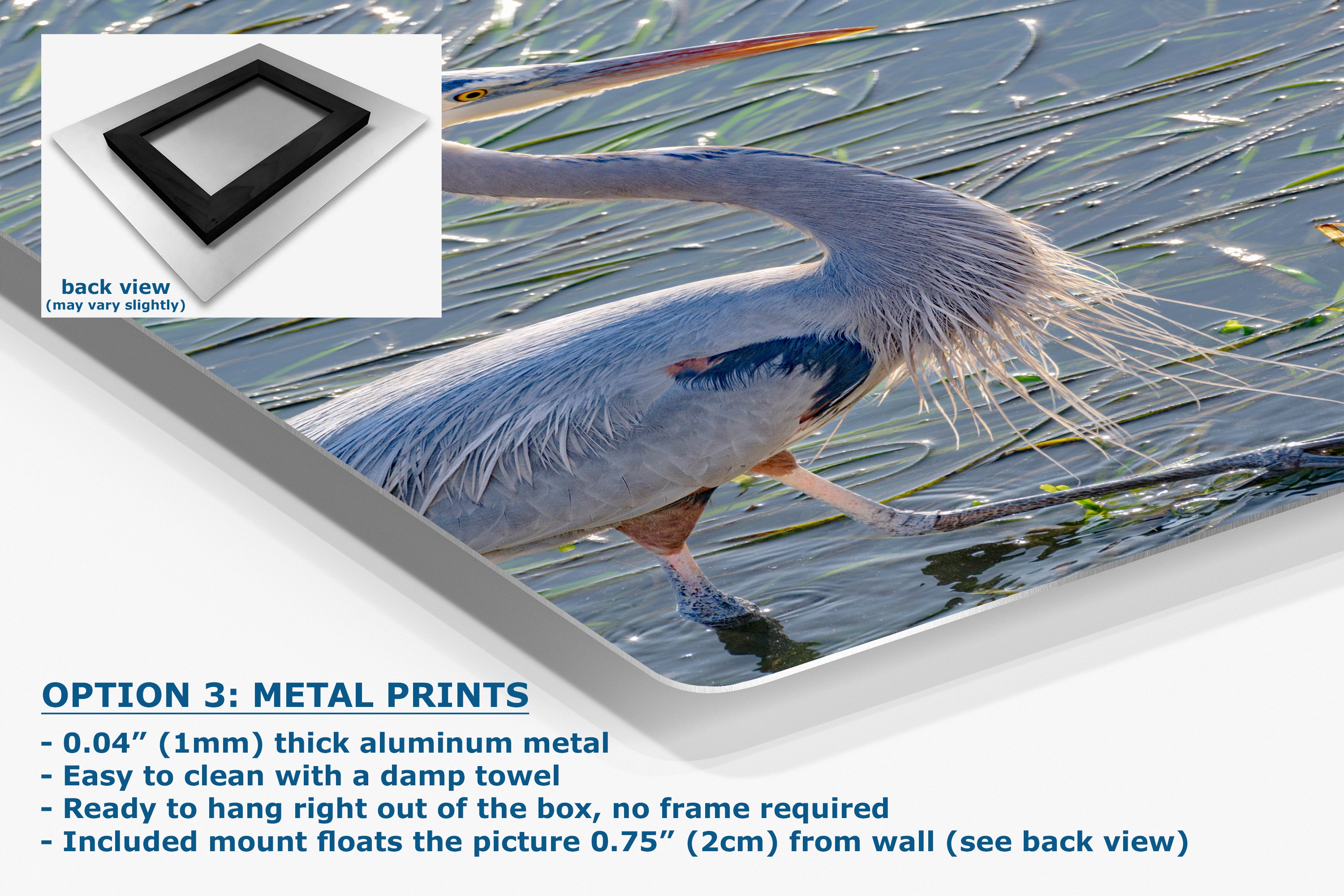 Great Blue Heron Art Wildlife Photography, Nature Wall Decor for Bird Lovers, Ocean Conservation, Relaxing Office or Room Artwork