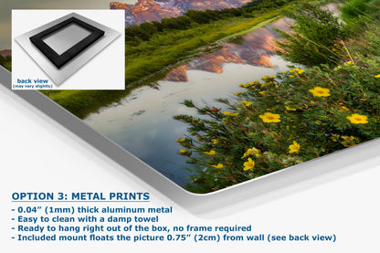 Grand Teton National Park Mountain Picture, Schwabacher Landing Nature Photo for Bohemian Decor and Meditation Artwork