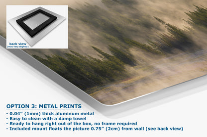 Foggy Forest Picture Forest Bathing Nature Photo, Yellowstone Misty Trees Wall Art, Cabin Decor, Canvas, Paper, Metal Prints