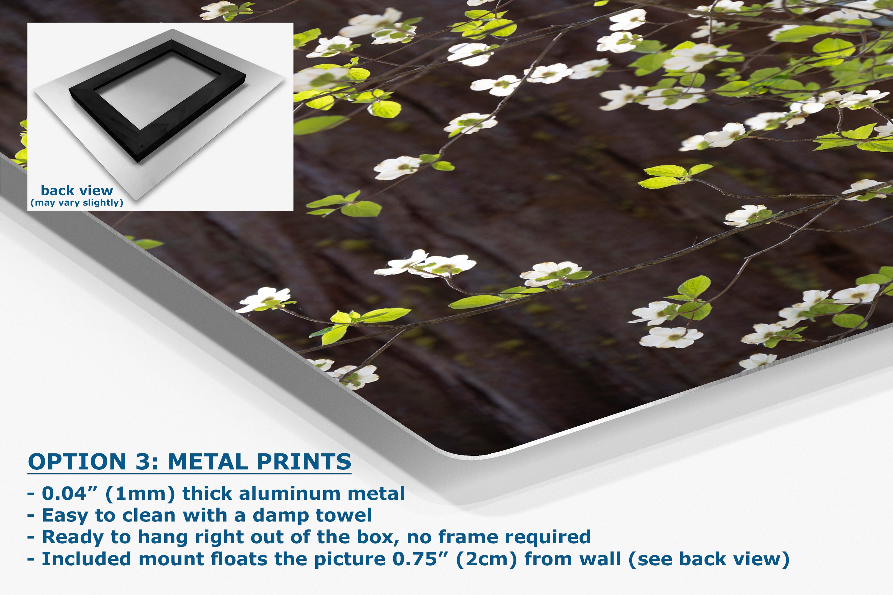 Pacific Dogwood Forest Picture Nature Photo | Yosemite Nature Canvas Print, Forest Bathing for Meditation, Relaxation, Dorm Room Decor