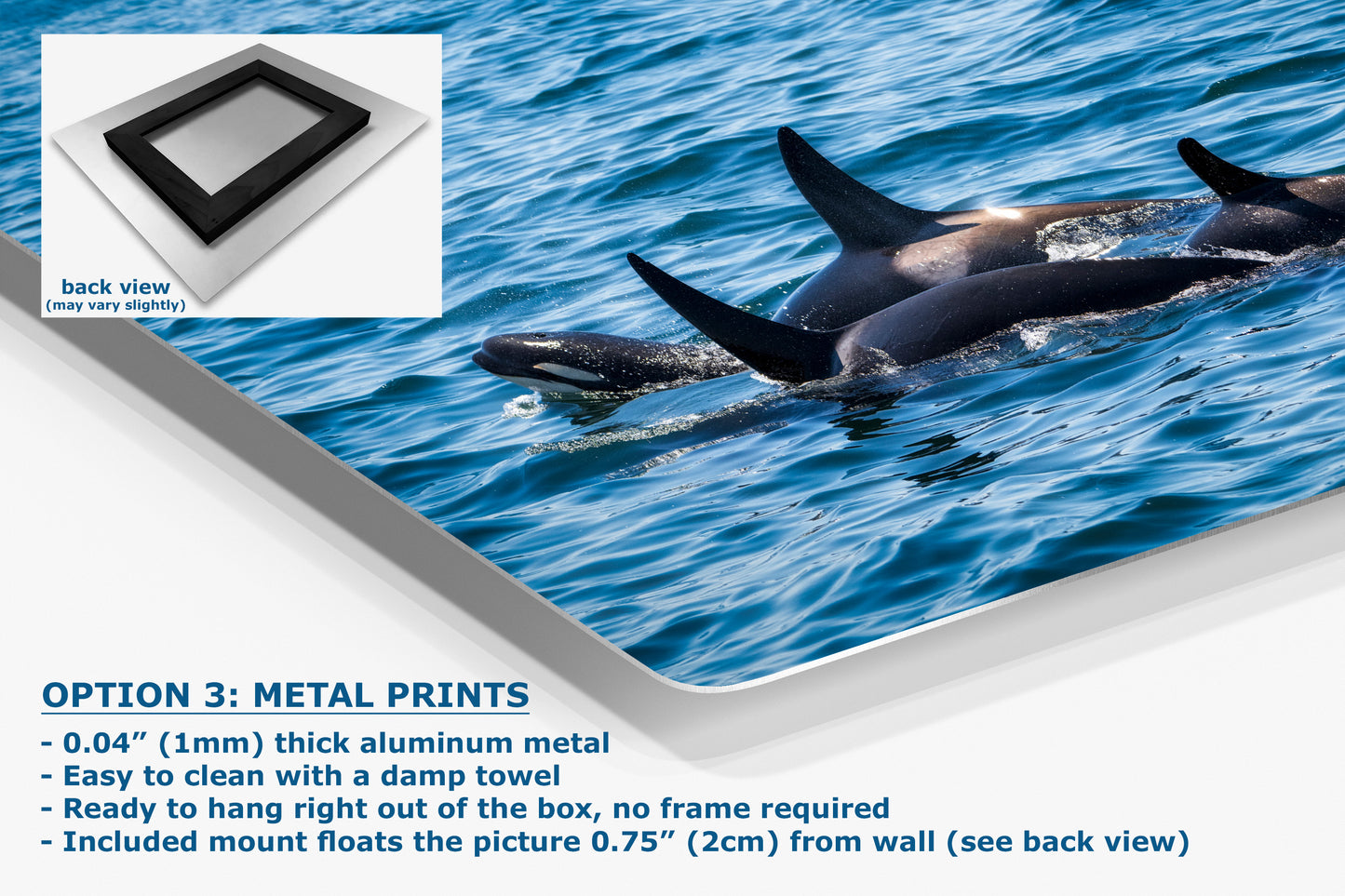 Orca Whale Marine Mammal Wildlife Photography, Killer Whale Ocean Art Print for Nature Lovers and Ocean Enthusiasts