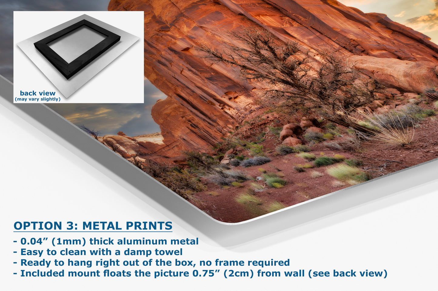 Monument Valley Arizona Desert Picture Cactus Nature Photo, Bohemian Style Relaxation Artwork for Meditation, Apartment, Office & House Decor