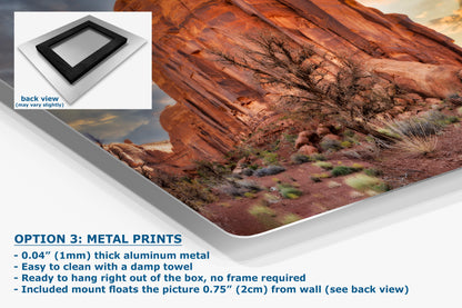 Monument Valley Arizona Desert Picture Cactus Nature Photo, Bohemian Style Relaxation Artwork for Meditation, Apartment, Office & House Decor