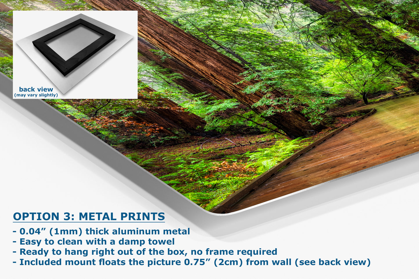 Redwood Trees Forest Picture Sunrise Nature Photo, Forest Bathing House Decor, Relaxing Wall Art for Meditation, Home and Office