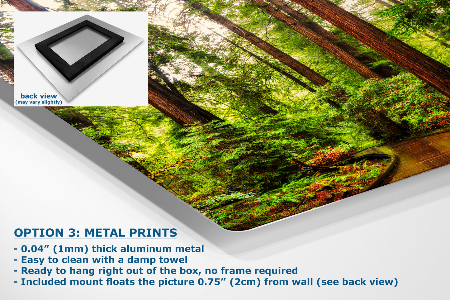 Redwood Trees Forest Picture Nature Photo, Forest Bathing House Decor, Relaxing Wall Art for Meditation, Home and Office