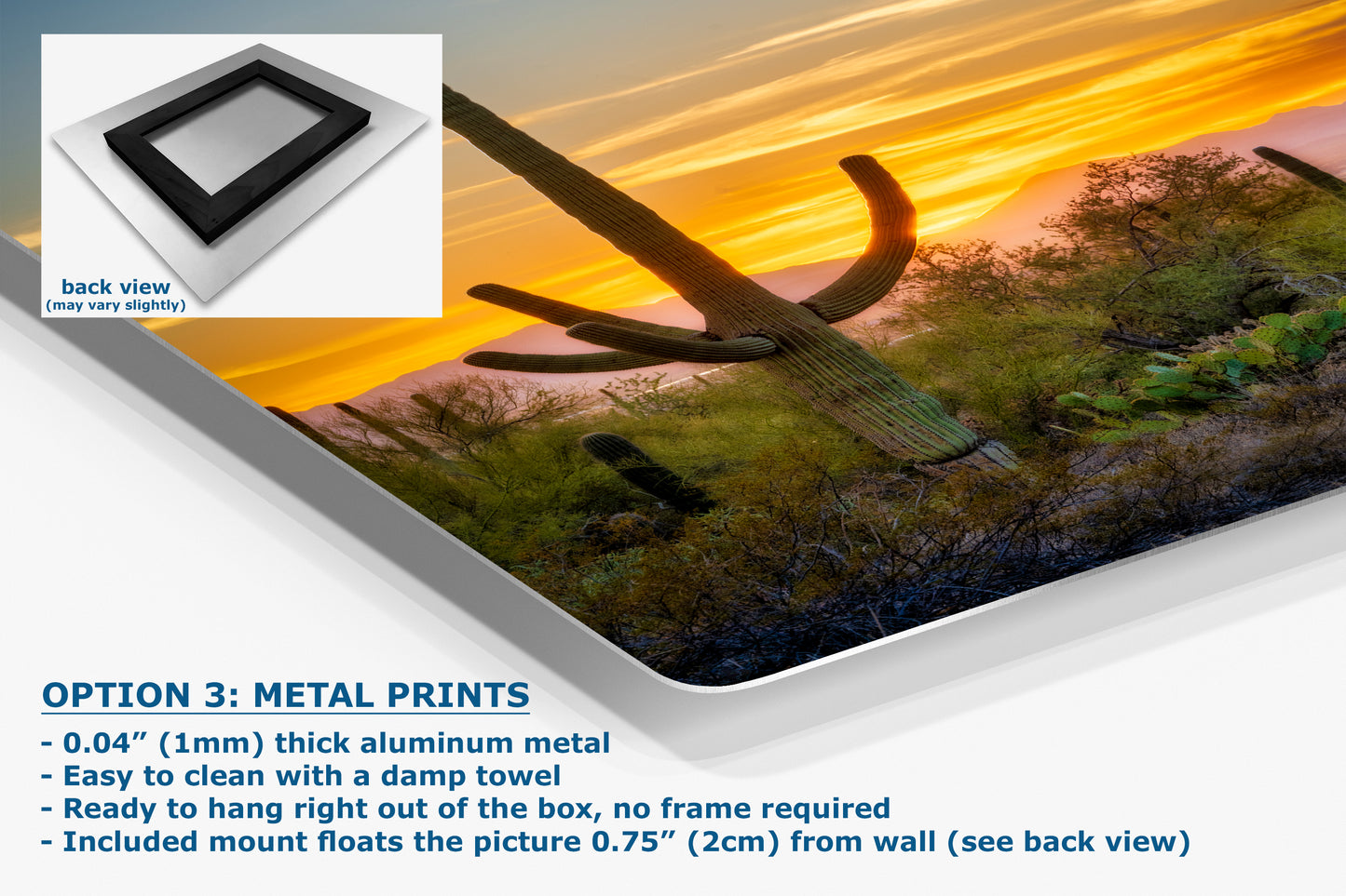 Saguaro National Park Arizona Desert Picture Nature Photo, Bohemian Style Relaxation Artwork, Southwestern Sonoran Desert House Decor