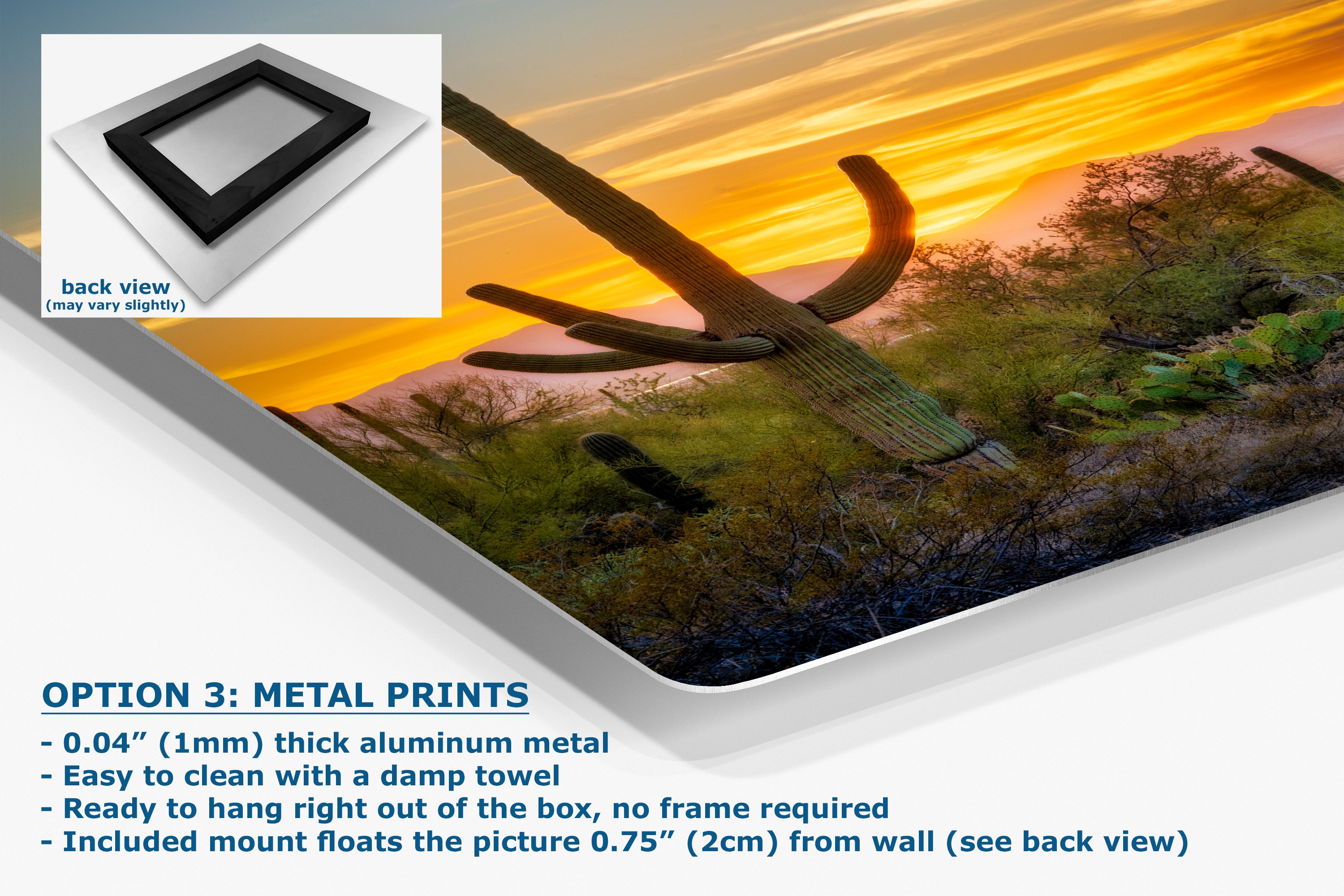 Saguaro National Park Arizona Desert Picture Nature Photo, Bohemian Style Relaxation Artwork, Southwestern Sonoran Desert House Decor