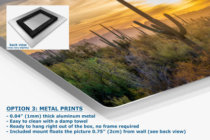 Saguaro National Park Arizona Desert Picture Sunset Nature Photo, Bohemian Style Relaxation Artwork, Southwestern Sonoran Desert House Decor