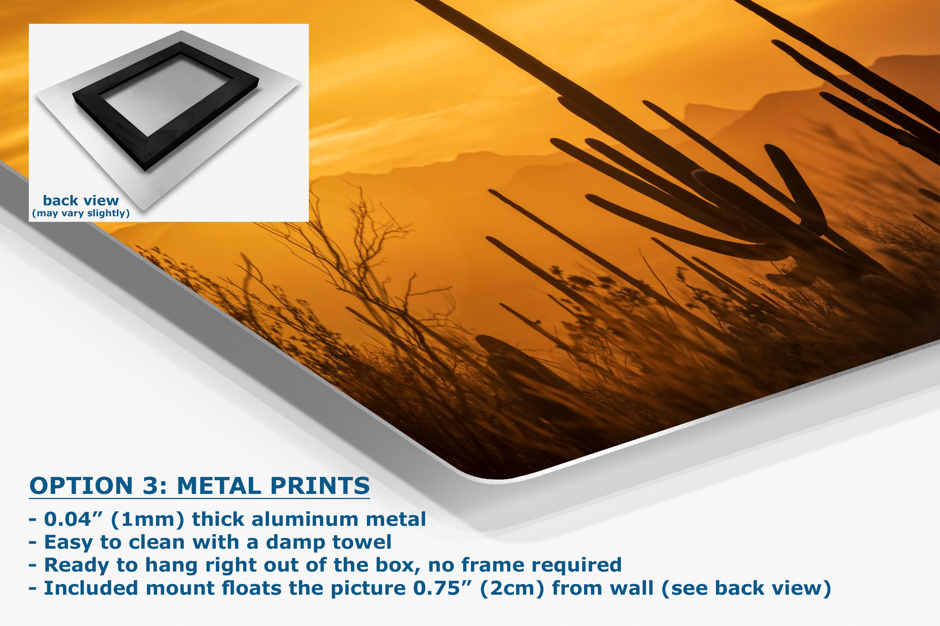 Saguaro National Park Arizona Desert Picture Nature Photo Silhouette, Bohemian Style Relaxation Artwork, Southwestern Sonoran Desert House Decor