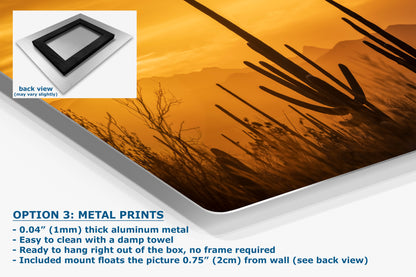 Saguaro National Park Arizona Desert Picture Nature Photo Silhouette, Bohemian Style Relaxation Artwork, Southwestern Sonoran Desert House Decor