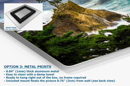 Lone Cypress Monterey Bay California Coastline Ocean Picture Nature Photo Relaxation Artwork for Meditation, Office, Dorm, House Decor