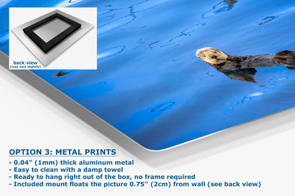 Sea Otter Picture Marine Mammal Wildlife Photography, Ocean Wall Art, Dorm Room Decor, Relaxation Artwork, Cubicle Desk Decor