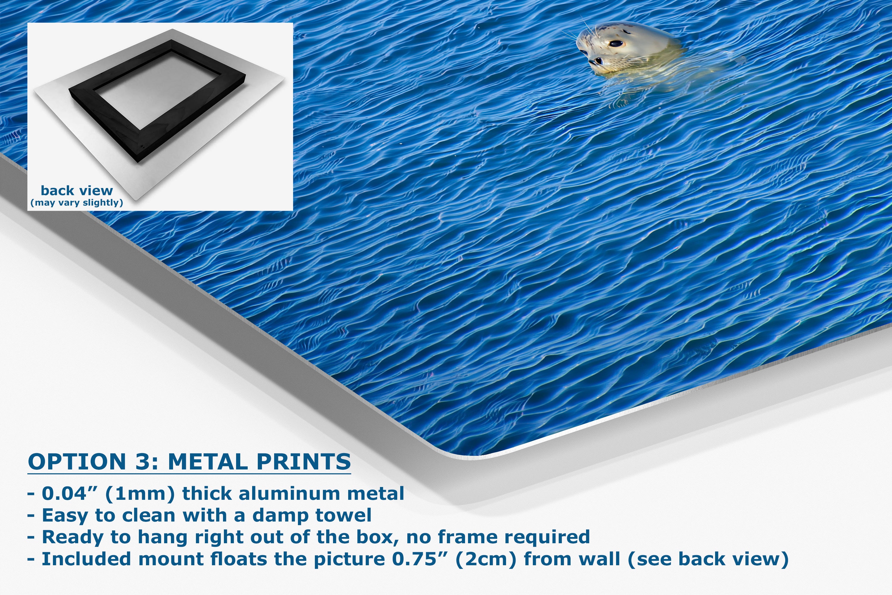 Seal Print Marine Mammal Wildlife Photography, Ocean Picture Relaxation Artwork Nature Photo