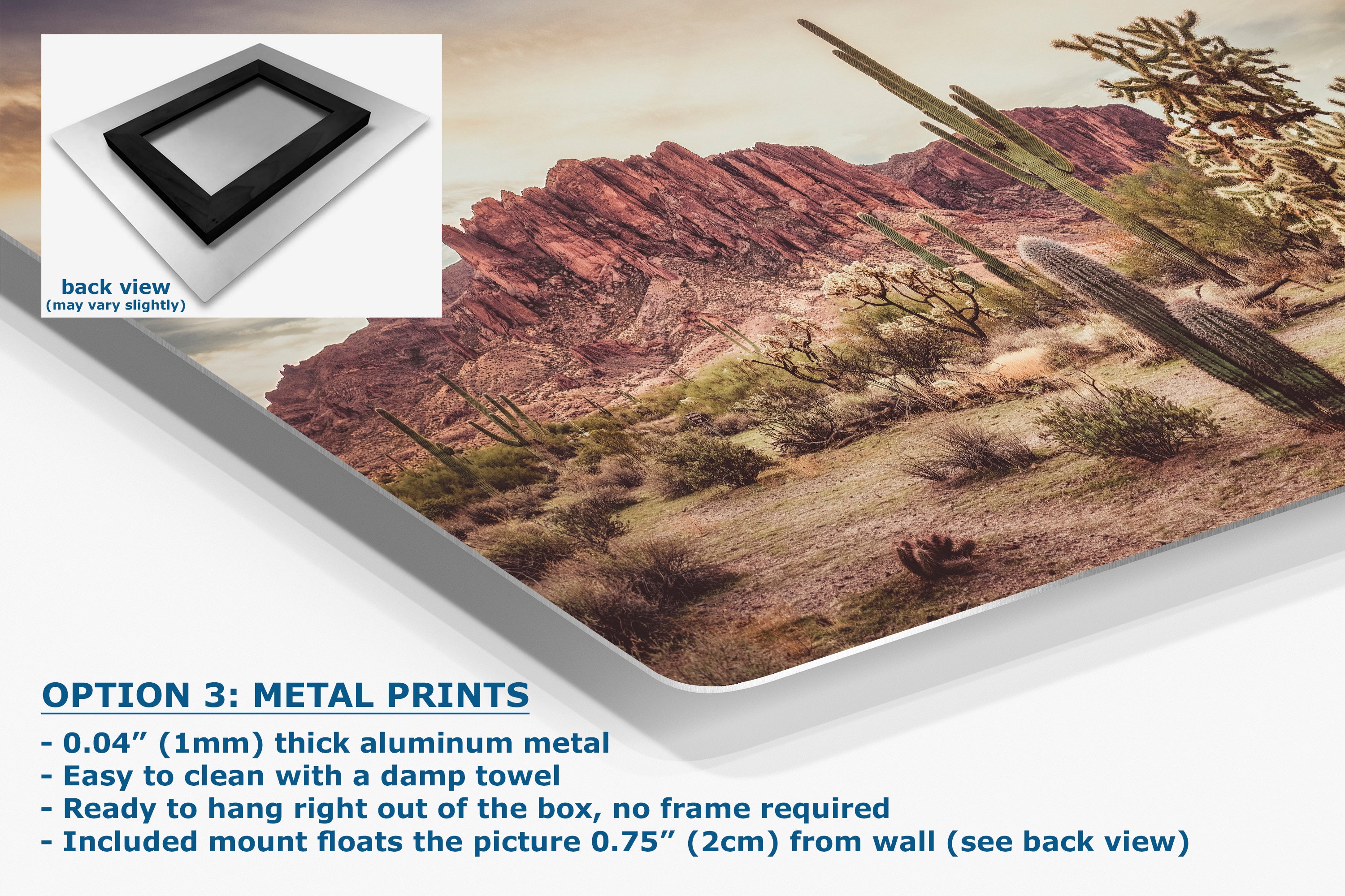 Arizona Desert Picture, Vintage Saguaro Cactus Artwork Nature Photo, Southwestern Wall Art of Superstition Mountains at Lost Dutchman State Park