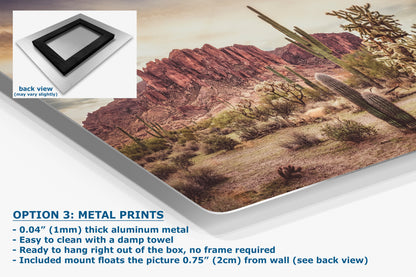 Arizona Desert Picture, Vintage Saguaro Cactus Artwork Nature Photo, Southwestern Wall Art of Superstition Mountains at Lost Dutchman State Park