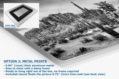 Arizona Desert Picture in Black and White, Saguaro Cactus Artwork Nature Photo, Southwestern Wall Art of Superstition Mountains at Lost Dutchman State Park