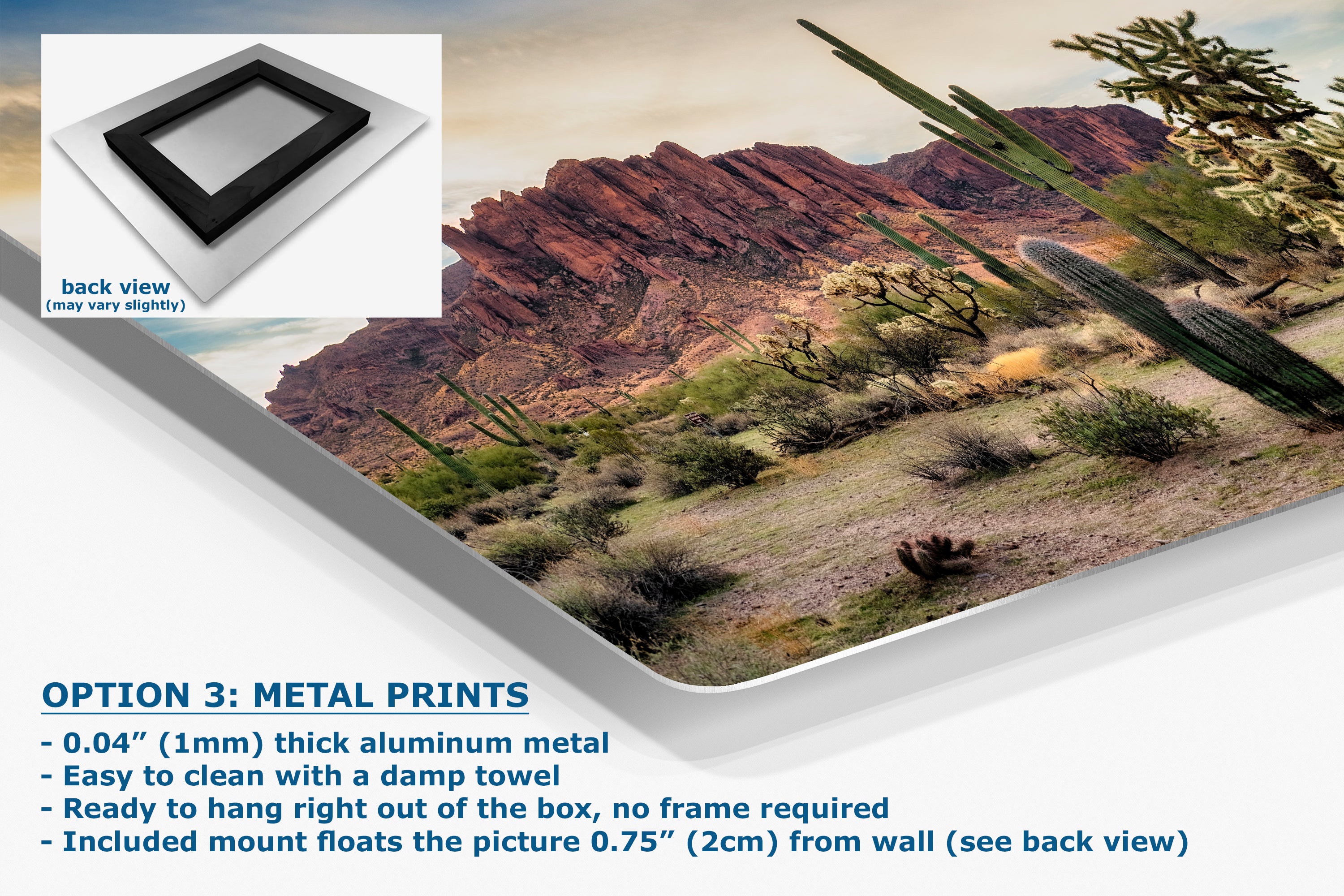 Arizona Desert Picture Wall Art Saguaro Cactus Artwork Nature Photo, Southwestern Wall Art of Superstition Mountains at Lost Dutchman State Park