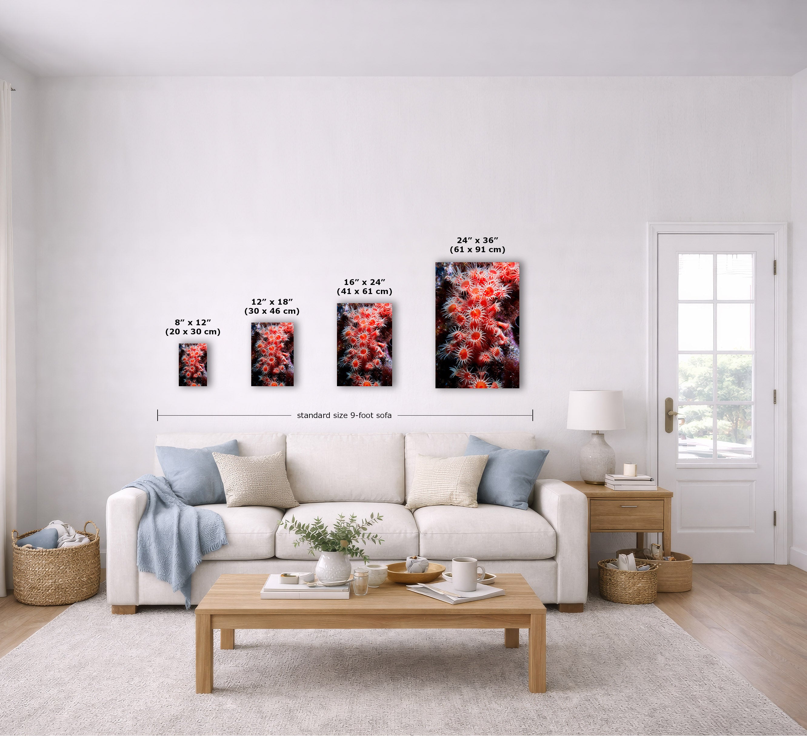 A staged living room shows four vertical wall art prints in different sizes above a white sofa. The prints feature a vivid coral reef scene with red, orange, and black tones.
