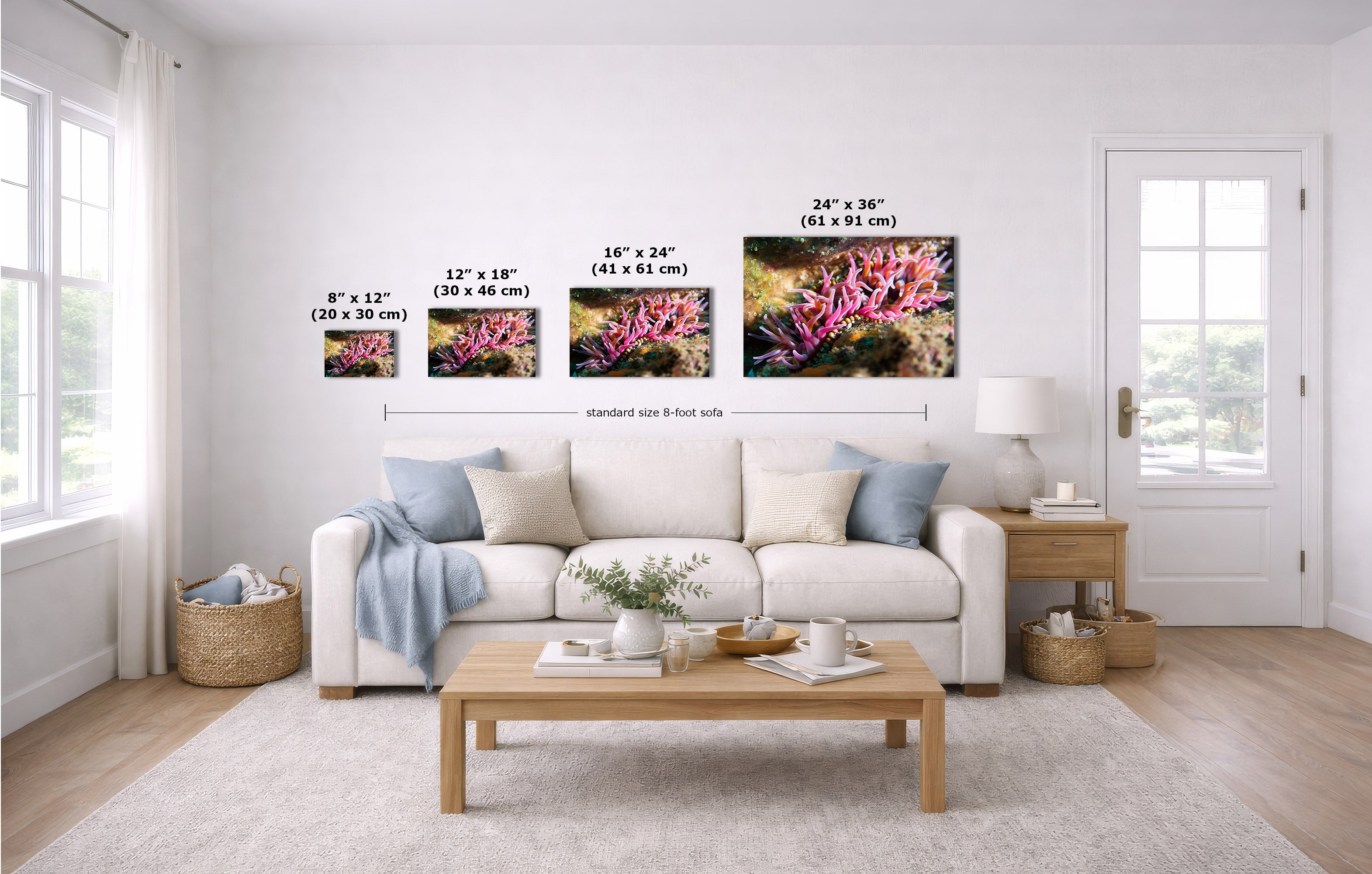 A staged living room with a white sofa, coffee table, and wall-mounted framed artwork showing four colorful coral reef prints with size labels above the couch.